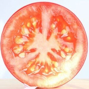 Round Shape 38x7cm Fruit Wood Printed Seat Cushon Foam Inner Wood Shaping Cushion Pillow Soft Health Care Sofa Cushion Filling