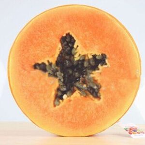 Round Shape 38x7cm Fruit Wood Printed Seat Cushon Foam Inner Wood Shaping Cushion Pillow Soft Health Care Sofa Cushion Filling